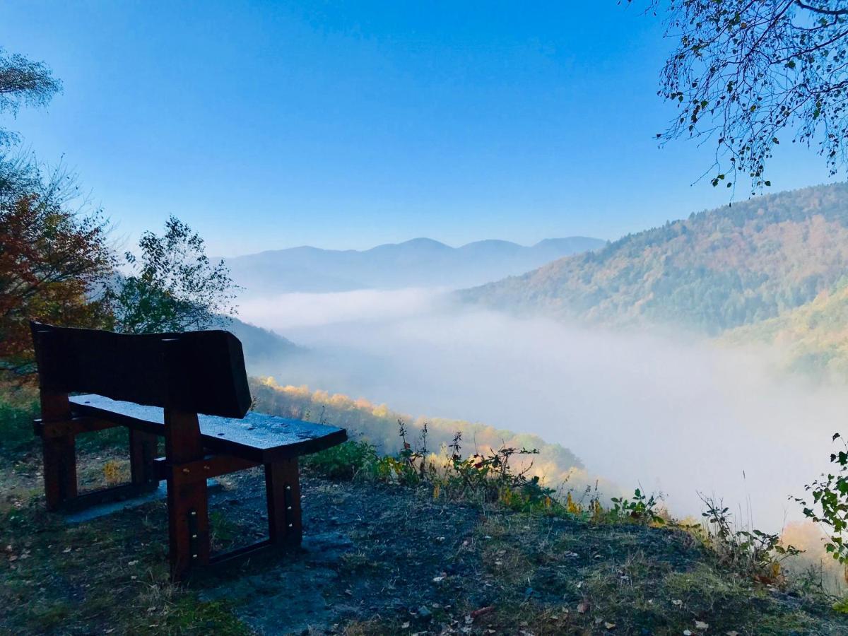 Carpe Diem - Cote-Montagnes Oderen エクステリア 写真